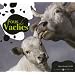 Fous de vaches