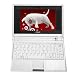 ASUS Eee PC 4G (7” Screen, 800 MHz Intel Celeron Processor, 512 MB RAM, 4 GB Hard Drive, Linux Preloaded) Pearl White