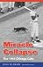 Search : Miracle Collapse: The 1969 Chicago Cubs