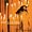 Virgen De La Caridad at MP3 downloads for the name: 51kUfj4b74L._SL30_