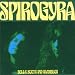 Bells, Boots & Shambles