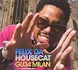 Global Underground 34 Milan by FELIX DA HOUSECAT (2008-05-20)【並行輸入品】