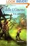 The Riddle of the Gnome: A Further Tale Adventure (Further Tales Adventures)