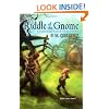 The Riddle of the Gnome: A Further Tale Adventure (Further Tales Adventures)