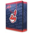 Cleveland Indians MLB Large Gift Bag (15.5 Tall)"