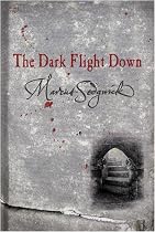 The Dark Flight Down (Book of Dead Days)