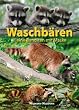Waschb�ren: Kleine Banditen mit Maske