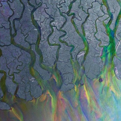 Alt-J