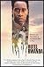 Hotel Rwanda: Bringing the True Story of an African Hero to Film
