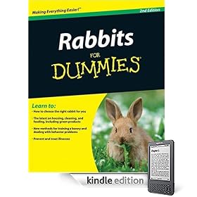 Rabbits For Dummies