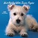 West Highland White Puppies 2009 Calendar
