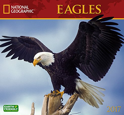 National Geographic Eagles 2017 Wall Calendar
