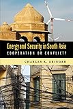 Energy and security in South Asia : cooperation or conflict?