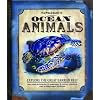 Ocean Animals