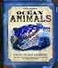 Ocean Animals
