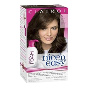 Clairol Nice 'n Easy Color Blend Foam