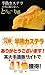銀座みもざ館半熟カステラ2ホールセット/引越し/新生活/プレゼント/父の日/ギフト