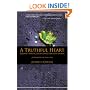 A Truthful Heart: Buddhist Practices for Connecting with Others