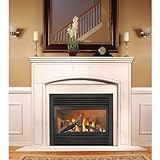 Napoleon Gd33nr Electronic Ignition Direct Vent Natural Gas Fireplace
