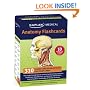 Anatomy Flashcards