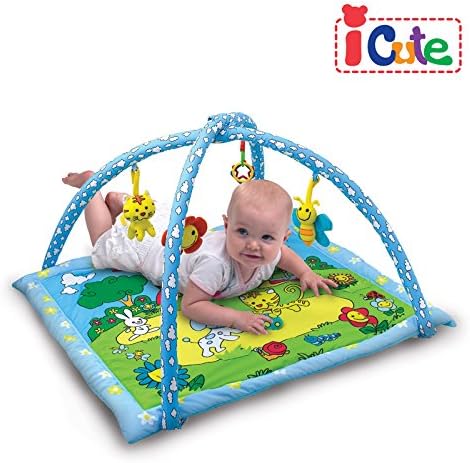 Icute Funny Pets in Garden Playgym