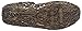 Melissa Women's Campana Flat