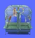 Huge Double Macaw Cage In Green