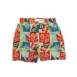 Infant Toddler Boys’ Swimwear Patterned Swim Trunks – Different Designs Available, Hawaiian Print, 4T