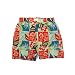 Infant Toddler Boys’ Swimwear Patterned Swim Trunks – Different Designs Available, Hawaiian Print, 4T