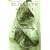 Olive Kitteridge: Fiction