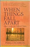 When Things Fall Apart: Heart Advice for Difficult Times