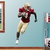 NFL Anquan Boldin Florida State Vinyl Wall Graphic Decal Sticker Poster