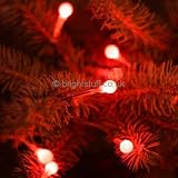 100 red LED Berry lights, green wire, multi-function controller, outdoor transformer and controller - indoor or outdoor Christmas lights