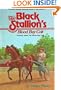 The Black Stallion's Blood Bay Colt