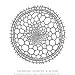 Radiolarians: The Evolutionary Set