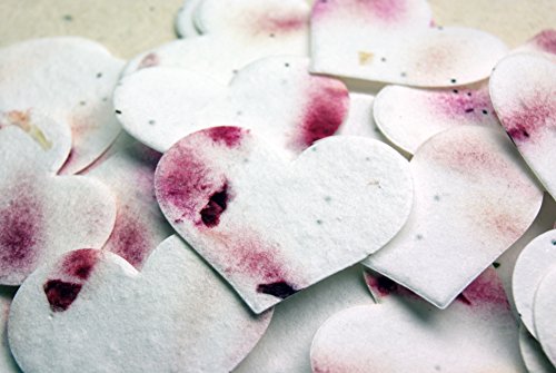 Red Heart Shape Seed Embedded Cotton Handmade Paper Tags (set of 50) Red Heart Shape Seed Embedded Cotton Handmade Paper Tags (set of 50)