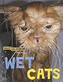 Stuff on My Cat Presents: Wet Cats
