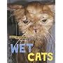 Stuff on My Cat Presents: Wet Cats