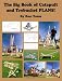 The Big Book of Catapult and Trebuchet Plans!