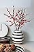 Kahler Omaggio Ceramic Vase - Height 200mm (7.9 In.) Diameter 165mm (6.5 In.) - Handmade Faience (White / Black)
