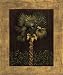 Tropical Paradise I - Samuel Blanco Art Print Poster 33 x 40