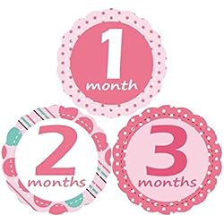 'MuchMore' Baby Monthly Stickers for Girl, Bodysuit Stickers .These Infant month stickers are Great Shower Gift Excellent Baby Photo Props #8002
