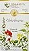 Celebration Herbals Organic Elderberries Tea Bags 24 Count