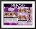 Meiosis Framed Framed Art Poster Print, 30x24
