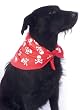 Skull Bandana Pet Costume - Pet Costumes