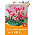 Welche Zimmerpflanze passt wohin?: Auswahl - Merkmale - Pflege