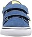 DC Anvil V Skate Shoe (Toddler)