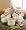 Chef 4 Piece Canister Set