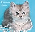 Rachael Hale Cats Wall Calendar (2015)