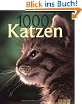 1000 Katzen